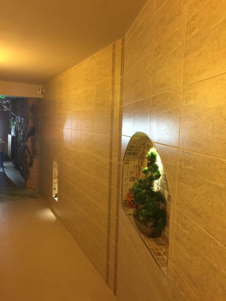Gorgeous Villa クルージュ＝ナポカ エクステリア 写真